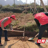 江华：瑶家三月好风光 义务植树绿瑶山