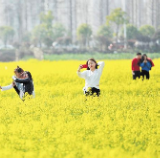 花俏星城