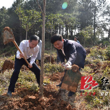 蓝山：率先垂范以身作则 为湘江源头添新绿