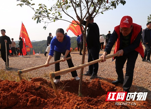 北塔区1000多名干部为凤子山再添新绿