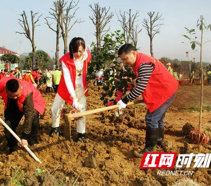 义务植树忙 桃江麻元坳村助推省级美丽乡村建设