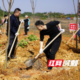 树苗来“安家落户”了 长沙首个“法治林”揭牌