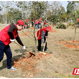 又是一年芳草绿 播种新绿妆点生态美