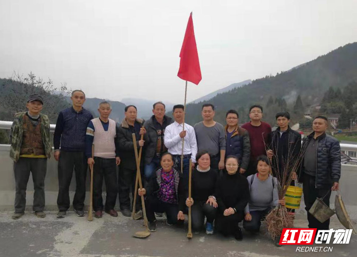 桑植县梯市村：植树节的特殊主题党日