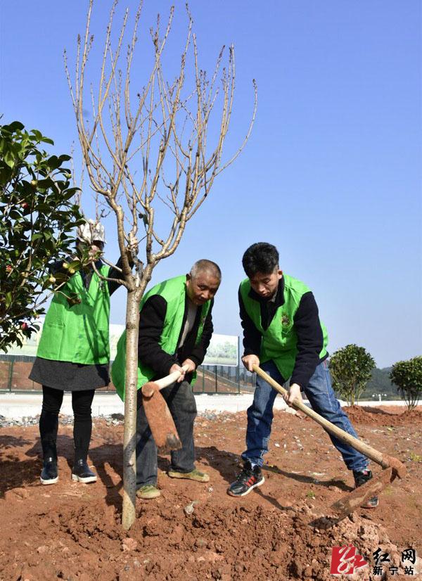 新宁县干部群众开展义务植树活动