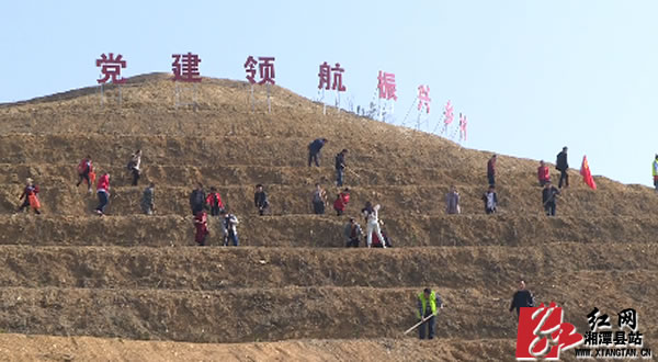 QQ??20190313104800.jpg