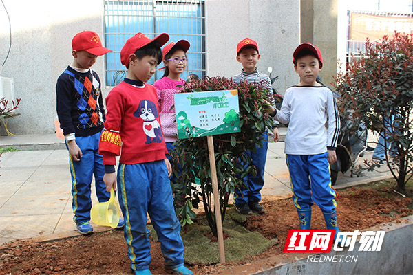 WechatIMG958.jpg WechatIMG958.jpg