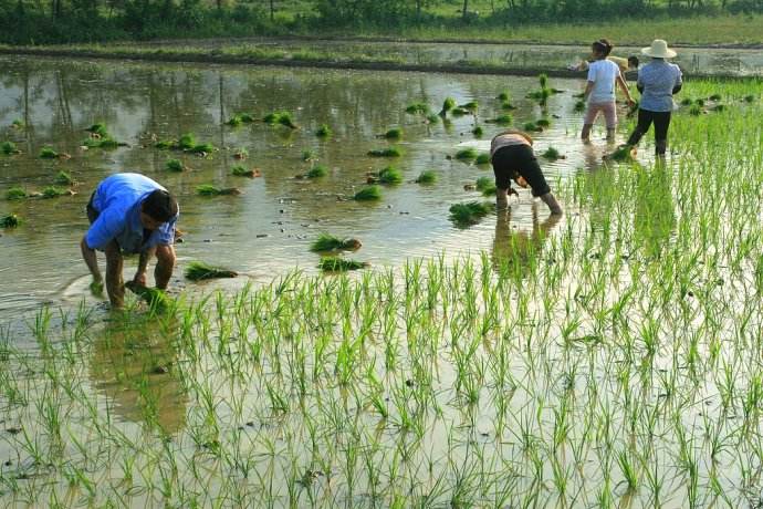 timg (8).jpg timg (8).jpg