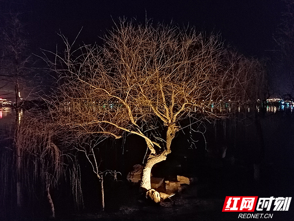 ????_20190313111819.jpg