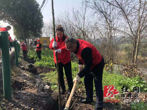 微信图片_20190312130223副本.jpg