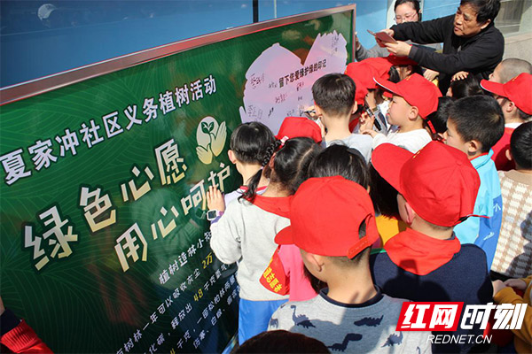 WechatIMG956.jpg WechatIMG956.jpg