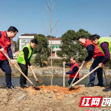  税务“四合”“森”呼吸  志愿植树“林”距离 