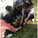 插旗曙光小学：在孩子心中播下植树护绿的种子