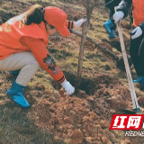 社区植绿为生态“增容”为家园“添彩”