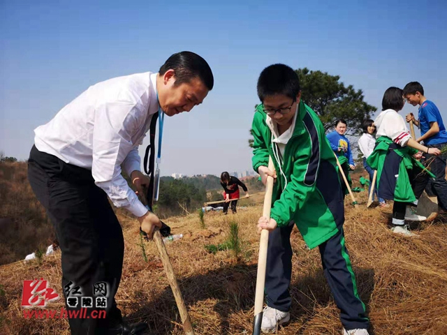 零陵：万名师生植新绿 涌动古城春韵潮