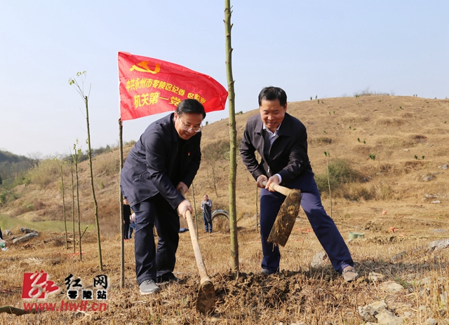 【绿满零陵 花映古城】零陵：春风吹新绿 干群植树忙