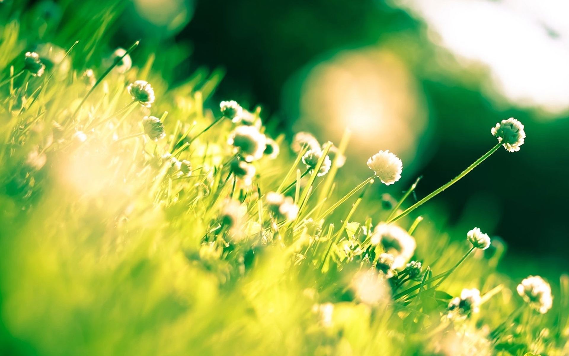 timg (26).jpg timg (26).jpg