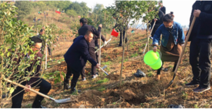 文明实践在溆浦｜县审计局积极参加义务植树活动