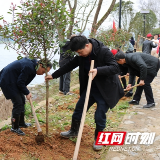 植好“护河树” 党员志愿者共同守护母亲河