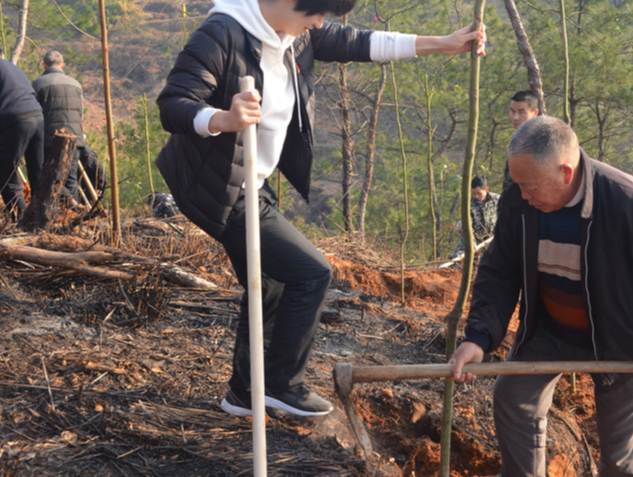 文明实践在溆浦｜卢峰镇开展植树造林 共建生态溆浦