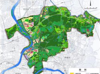 省林业局召开长株潭城市群生态绿心地区专项清理整治工作会