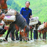 共推“万里茶道”申遗 复兴百年历史荣光