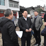 刘生礼深入乡镇调研防洪大堤项目建设