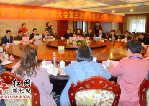 新化县第十七届人民代表大会第三次会议全体代表分组讨论，热议政府工作报告
