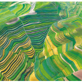 “干沙滩”变成“金沙滩”