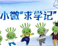 两会结束，看小微“求学记” | 两会@教育