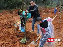 我与春天有个约会 麓山兰亭实验小学开展植树节活动