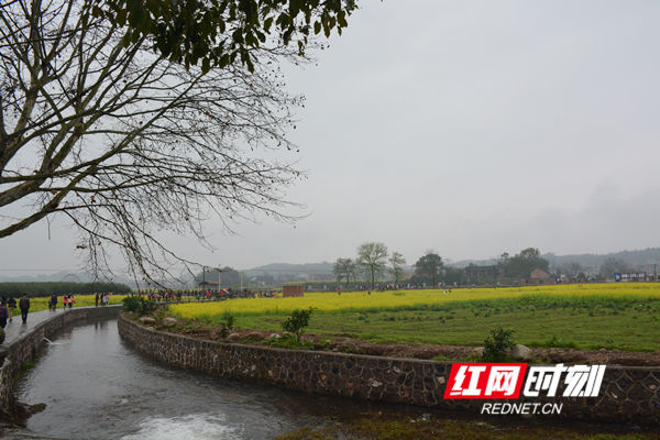 东安鹿马桥镇马坪村.