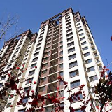 探索全新模式 功能性国企助力城市建设