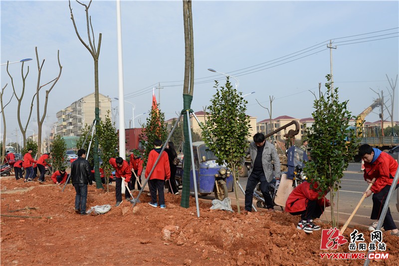 县住建局：义务植树200棵 为城市添绿意
