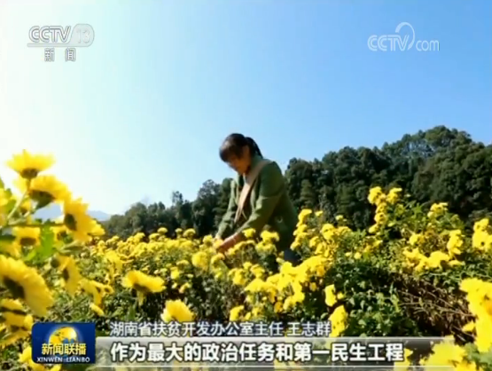 Wang Zhiqun, the director of the Hunan poverty alleviation and development office. [Screenshot: China Plus]