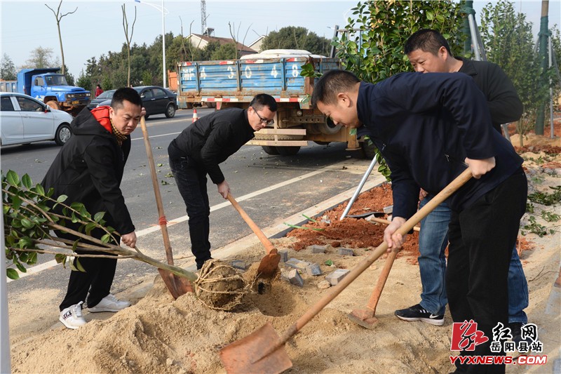 县住建局：义务植树200棵 为城市添绿意
