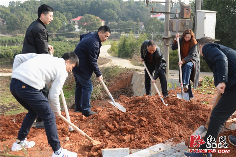 县住建局：义务植树200棵 为城市添绿意