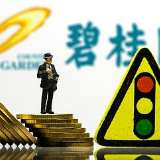 碧桂园去年总收入3790亿元 回款率高达91%