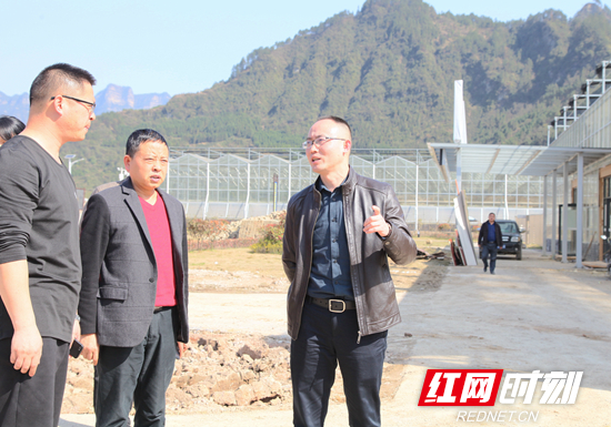 朱法栋督查永定区“大棚房”问题专项清理整治工作