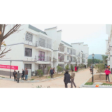 东山镇天井山村：“一分菜地”带来的新气象