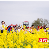 油菜花田里玩“快闪” 长沙县这场花事很韵味