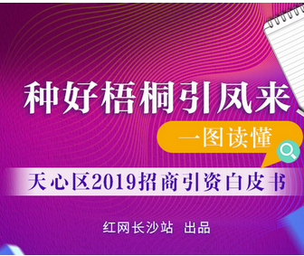 种好梧桐引凤来   一图读懂2019天心区招商引资白皮书