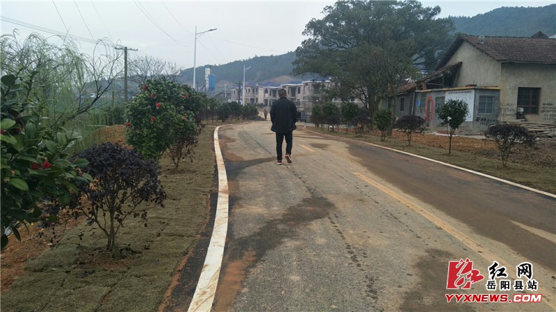 新开镇马山村攻坚行动初见成效
