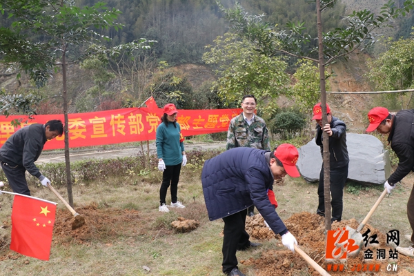 金洞：三月植绿正当时