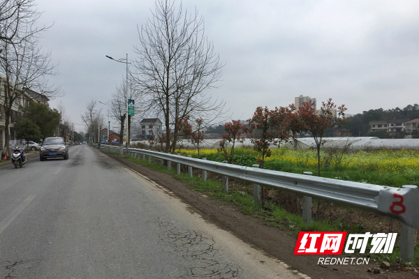 道路.jpg