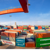 奋斗·信心① ｜ 怎么留住？怎么爱护？金霞有招！