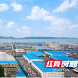 奋斗·信心② ｜ 优化营商环境 厚植项目生长的沃土