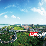 奋斗·信心③ ｜ “金小二”让企业畅快“呼吸”