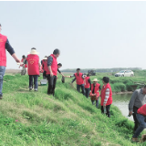 保护大通湖湿地 党员志愿者在行动