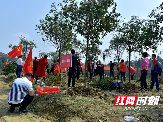 邵阳市工商联组织企业家植树造林 助力创建全国文明城市